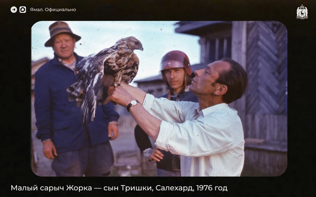 Птица ручная, 1970-е. Продолжаем знакомить вас с архивными снимками Владимира Спасского — салехардского врача, фотографа и охотника Птица ручная, 1970-е. Продолжаем знакомить вас с архивными снимками Владимира Спасского — салехардского врача, фотографа и охотника